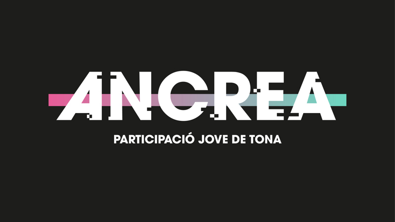 Suport a Iniciatives Juvenils